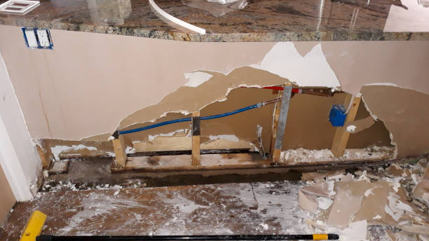 Best Ceiling water damage repair  in Wood Dale, IL