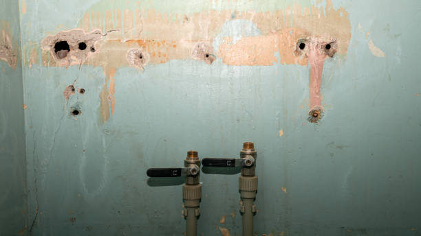 Best Fire Damage Restoration  in Wood Dale, IL
