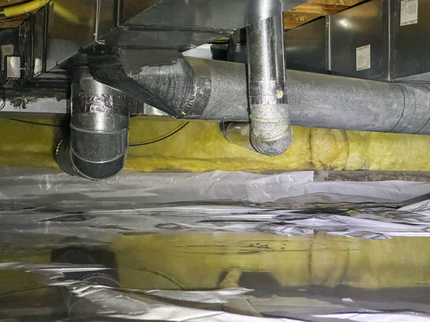 Best Mold removal after water damage  in Wood Dale, IL