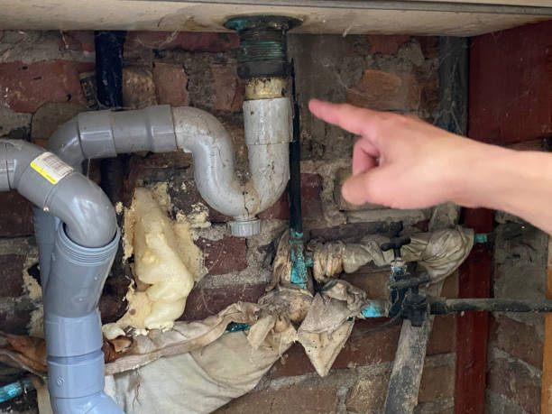  Wood Dale, IL Water damage restoration Pros