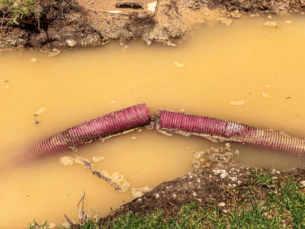 Best Professional water damage repair  in Wood Dale, IL
