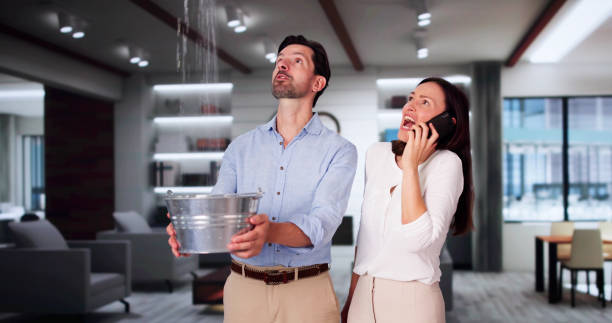 Best Flood damage cleanup  in Wood Dale, IL