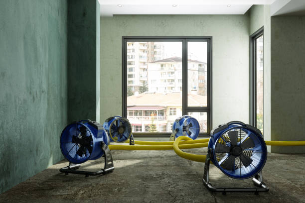Best Water damage contractors near me  in Wood Dale, IL