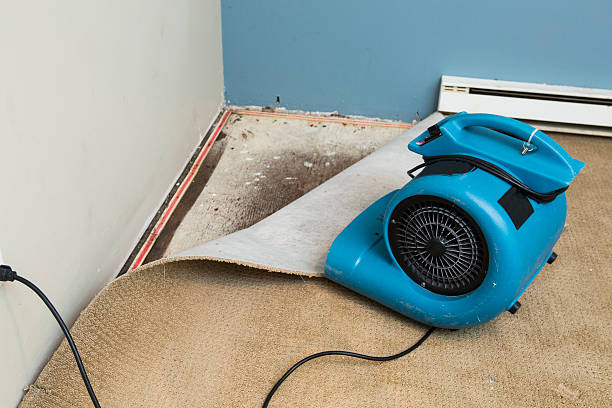 Best 24/7 water damage repair  in Wood Dale, IL
